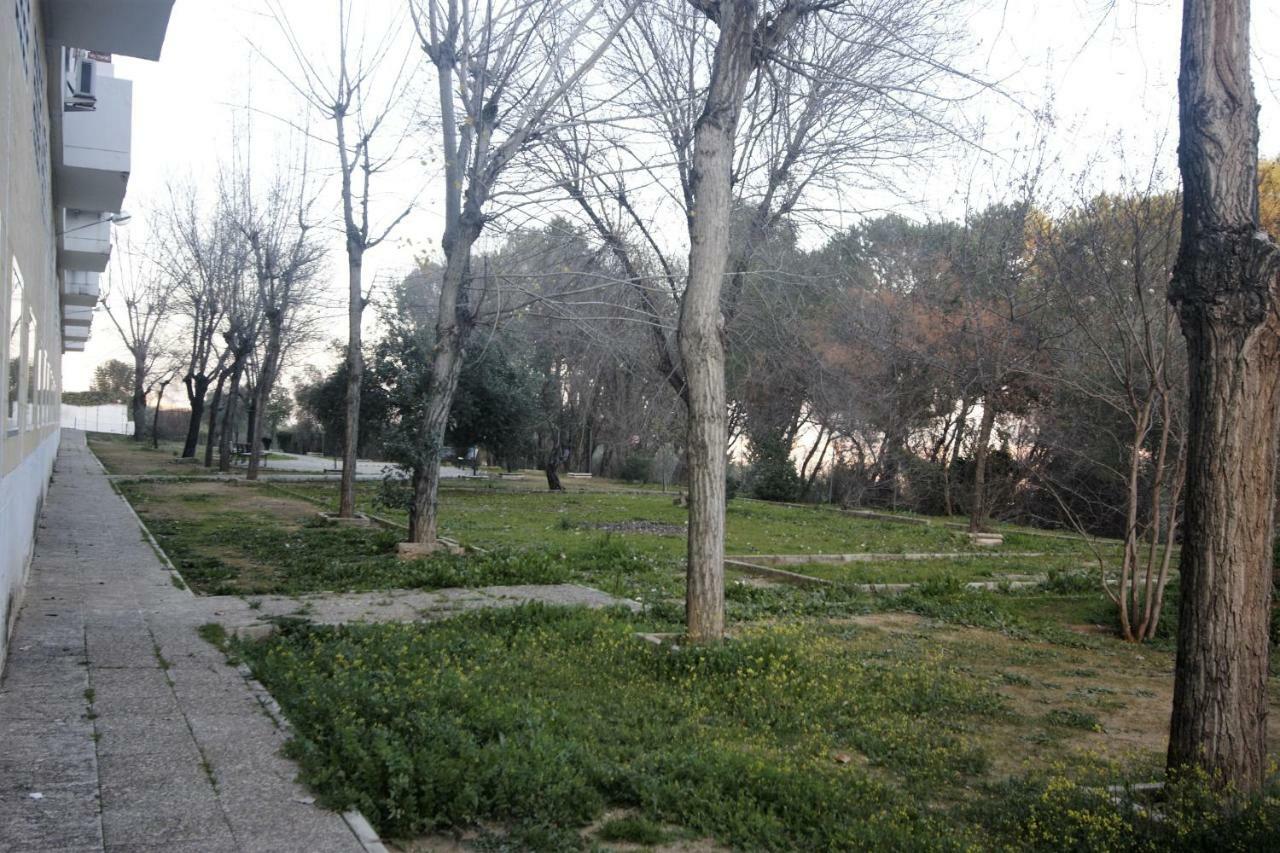 Bonito apart. con PARKING Y PISCINA Mairena del Aljarafe Esterno foto